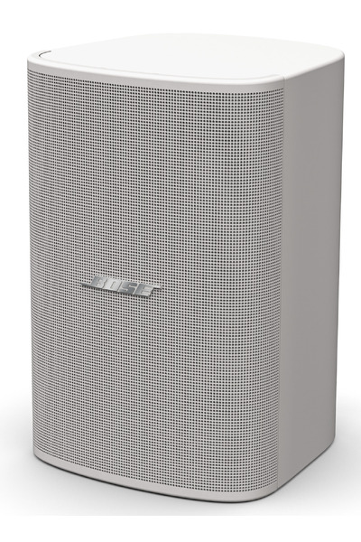 Bose DesignMax DM5SE